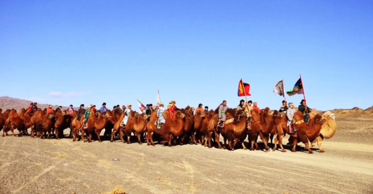 The Thousand Camel Festival: A Spectacle of Vibrant Culture and Rich Heritage