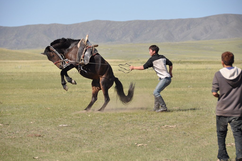 Mongolian Horse Riding
