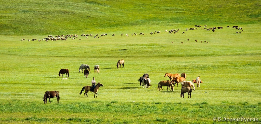 Mongolian Nomadic Lifestyles