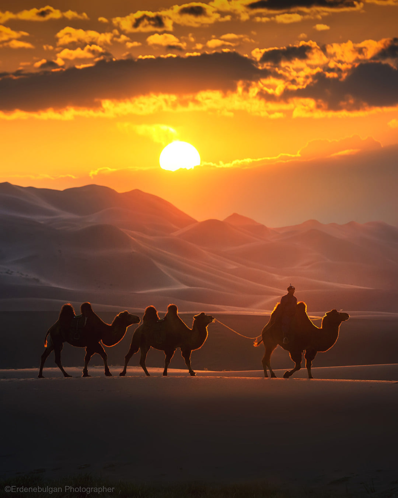 Mongolian Landscapes Gobi Desert