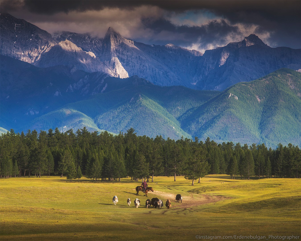 Mongolian Landscapes