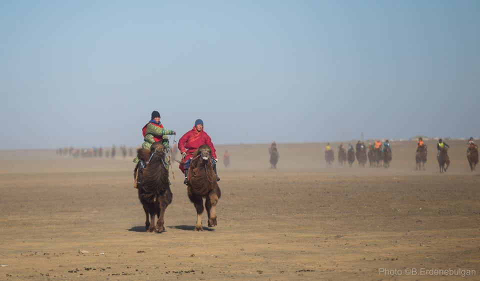 Thousand Camel Festival