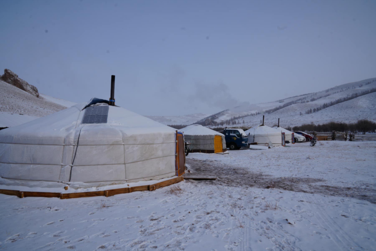 Winter Survival Skills of Mongolian Nomads: Navigating the Cold