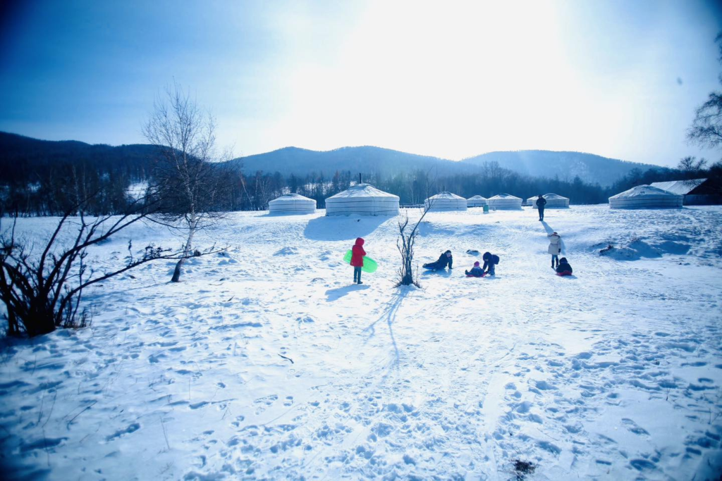 Mongolian Winter Landscape
