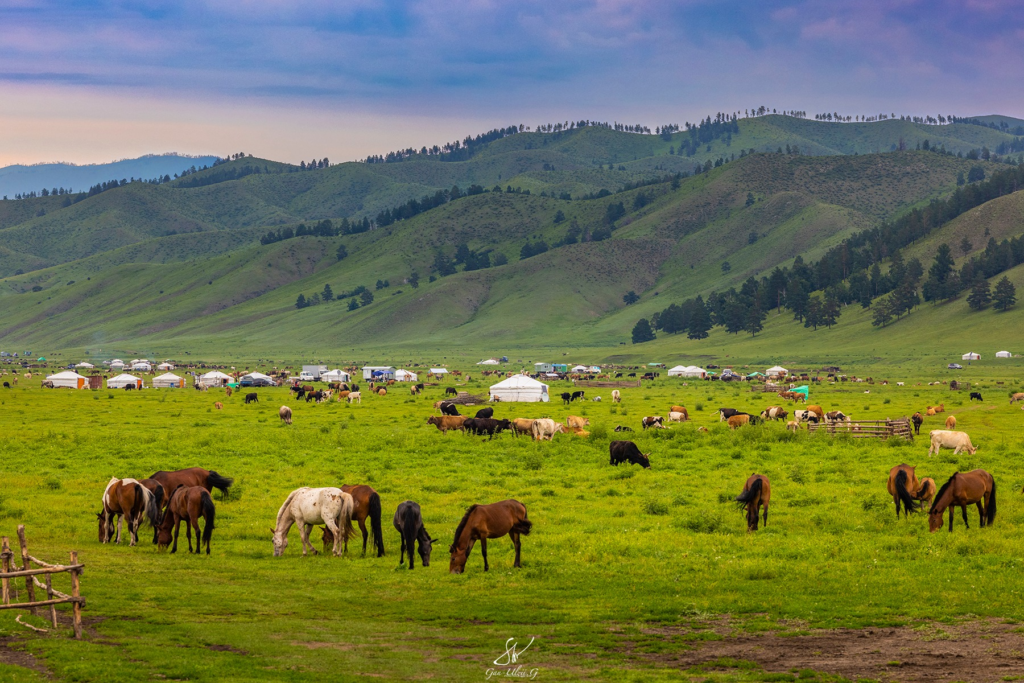 Mongolian Nomads Living with the Seasons